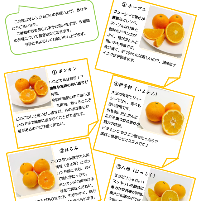 オレンジBOX