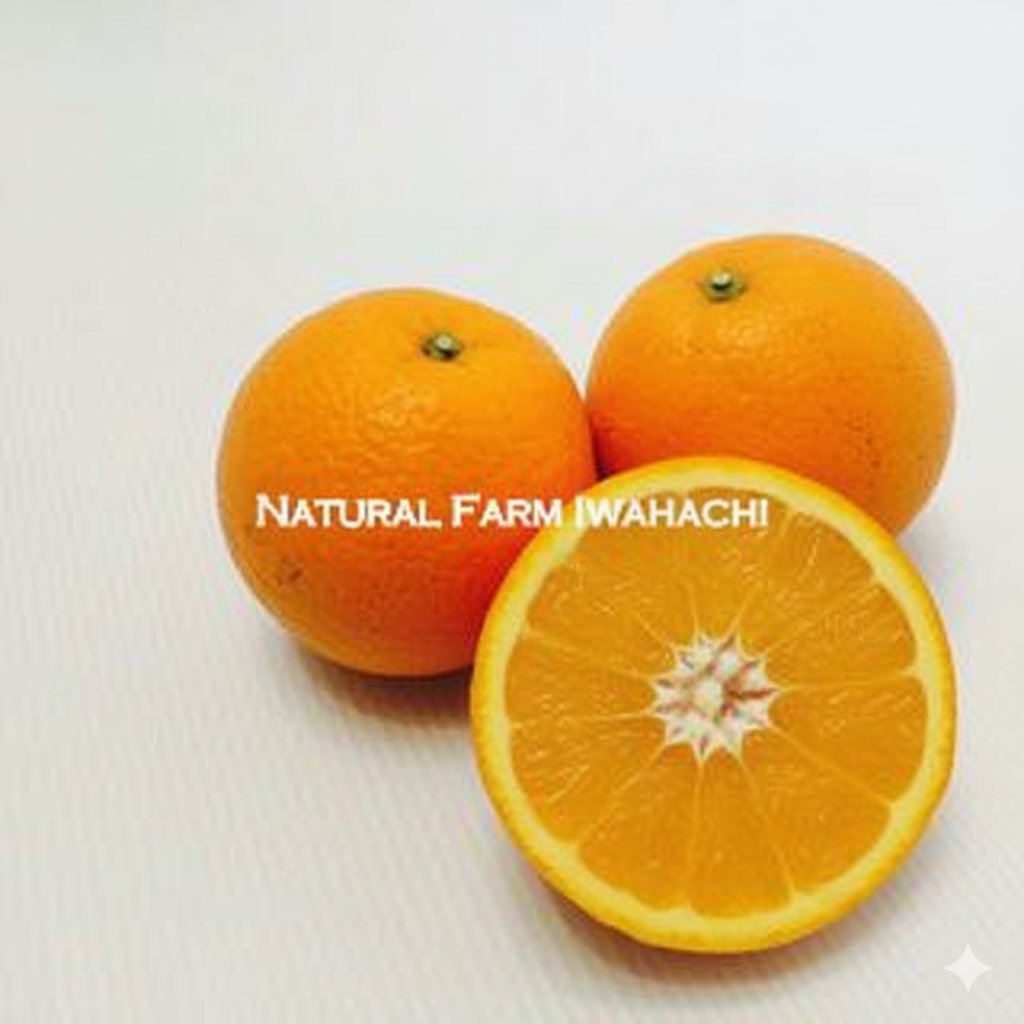 甘夏(あまなつ)