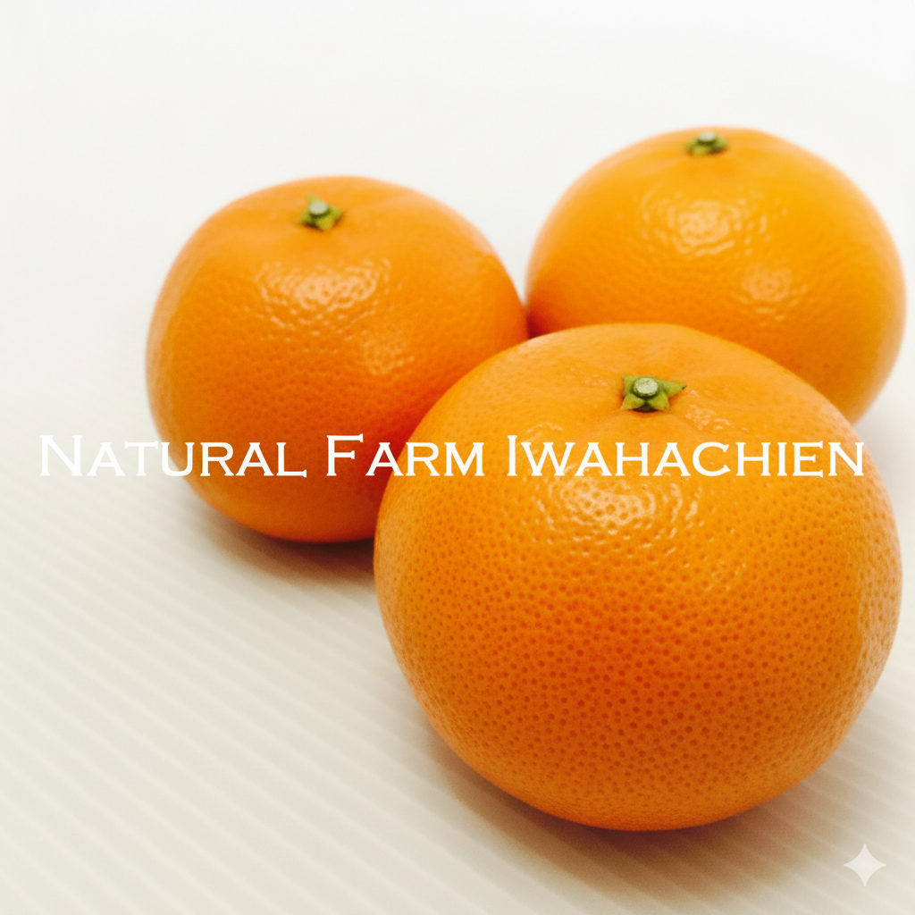 南津海(なつみ)